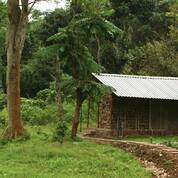 Andaman Camp, Port Blair 2